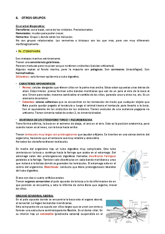 6.-ALTRES-GRUPS.pdf