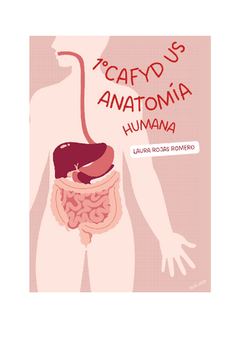 TEMA-14-LA-CINTURA-PELVICA.-HUESOS-COXAL-SACRO-Y-COXIS.-ARTICULACION-SACROILIACA-Y-SINFISIS-DEL-PUBIS.-ORGANIZACION-NEUROMUSCULAR-DEL-PERINE.-Documentos-de-Google.pdf