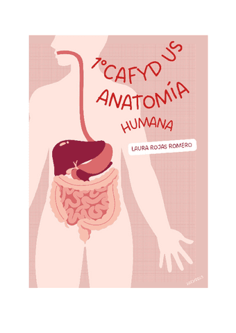 TEMA-13-ORGANIZACION-NEUROMUSCULAR-ANTEROLATERAL-DEL-ABDOMEN-ANATOMIA-FUNCIONAL.pdf