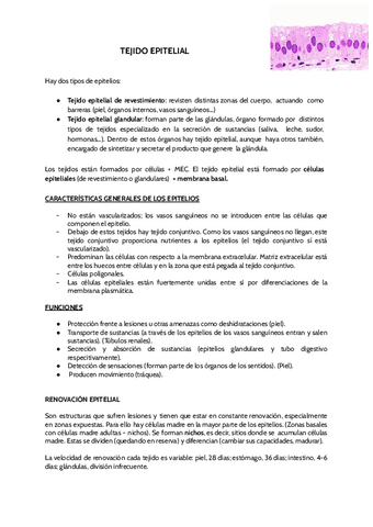 TEJIDO-EPITELIAL.pdf