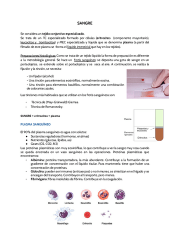 SANGRE.pdf