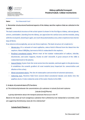 5-Kidney-transport-Nur-Abouseada.pdf