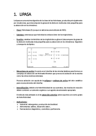 Resumen-seminarios-enzimo.pdf