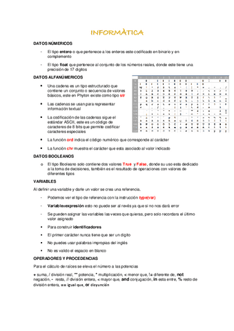 INFORMATICA.pdf