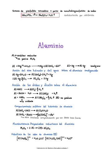 Apuntes-Examen.pdf