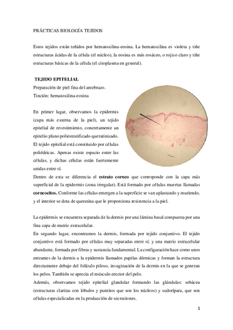 PRACTICAS-AL-MICROSCOPIO.pdf