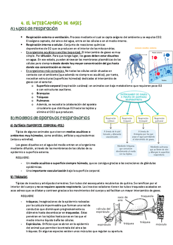 nutricion-II.pdf