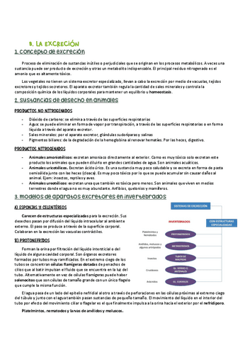 nutricion-III.pdf