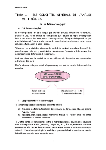 ApuntsMorfologiaPart1.pdf