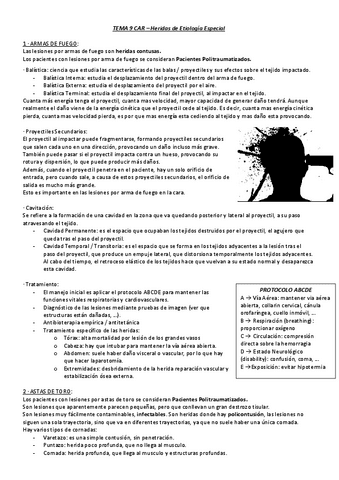 TEMA-9-CAR.pdf