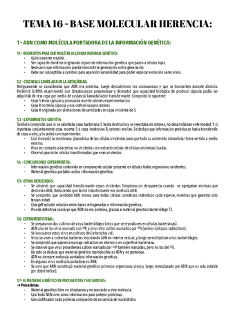 T16-Bio-2o.pdf