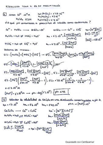 Ejercicios-T4.-Analitica.pdf