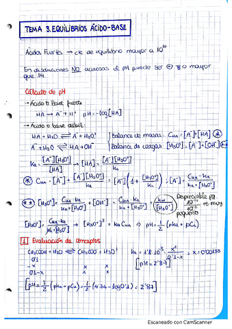 T3.-Analitica.pdf