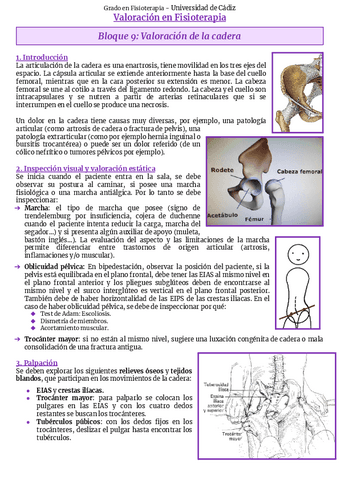 Bloque-9-Cadera.pdf