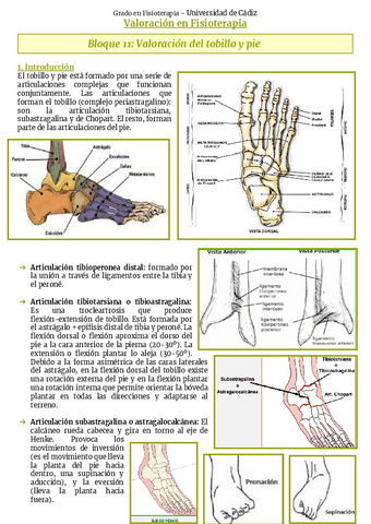 Bloque-11-Tobillo-y-pie.pdf