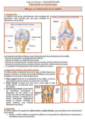 Bloque-10-Rodilla.pdf