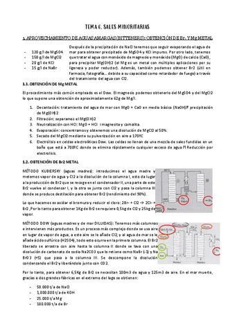 T6-SALES-MINORITARIAS.pdf
