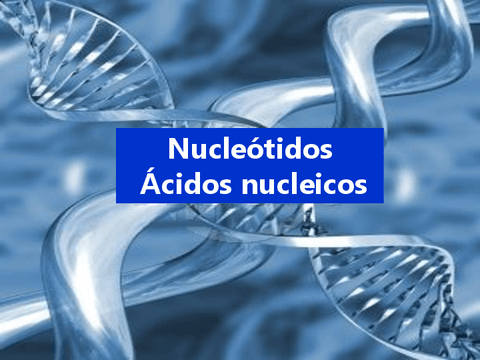 Acidos-nucleicos-2018.pdf