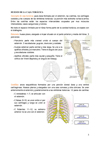 tema-3-parte-1-2.pdf