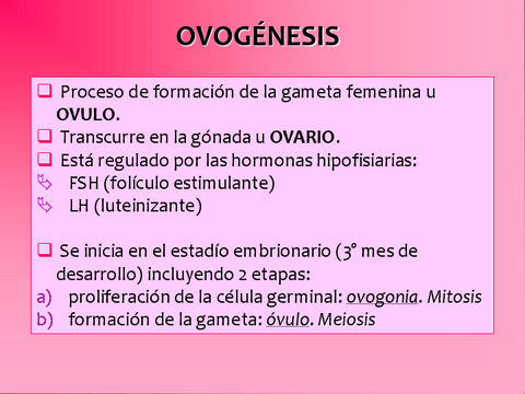 Ovogenesis.pdf