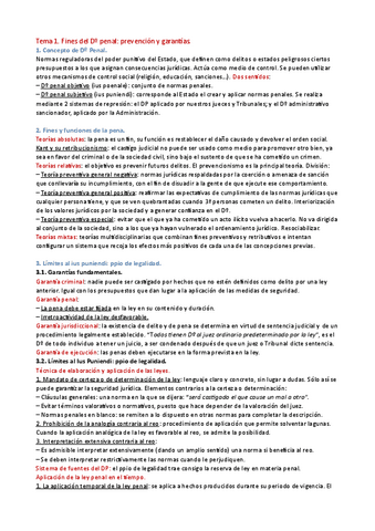 Resumenes-Derecho-Penal-General.pdf