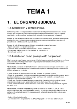 Proceso penal resumenes .pdf