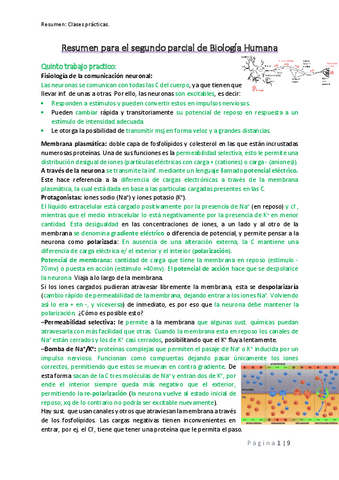 Resumen-para-el-segundo-parcial-de-Biologia-Humana.pdf