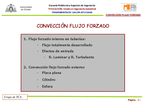 ConveccionFF.pdf