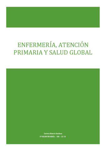 Enfermeria-Atencion-Primaria-y-Salud-Global.pdf