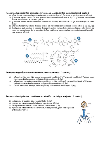 prueba-inicial-2o-bach.pdf