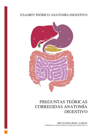 Preguntas-teoricas-corregidas-Anatomia-Digestivo.pdf