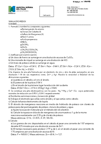 Simulacro-redox.pdf