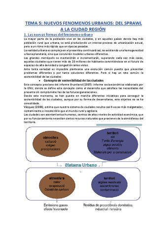 TEMA-5-ESP-URB.pdf