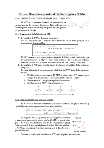 Tema-1-ByM.pdf