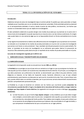 TEMA-13.pdf