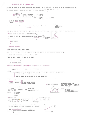 PRACTICAS.pdf