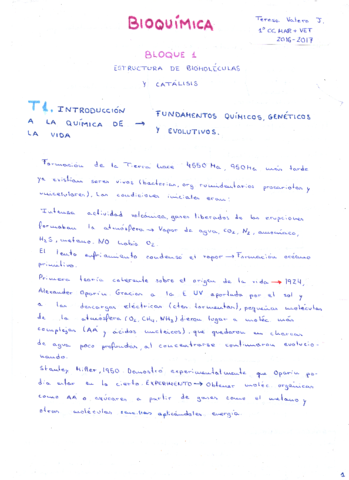 Apuntes Bioquímica.pdf