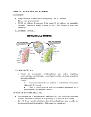 Lingüística Tema 3 El lenguaje en el cerebro.pdf