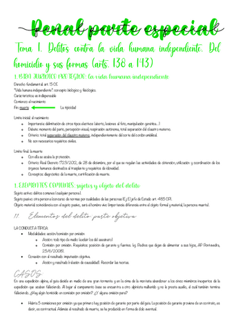 Apuntes-completos-penal-especial.pdf