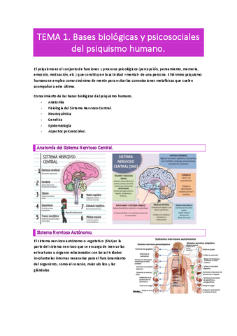 TEMA-1-2.pdf