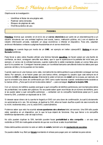 Tema-2-Delincuencia-en-la-Red.pdf