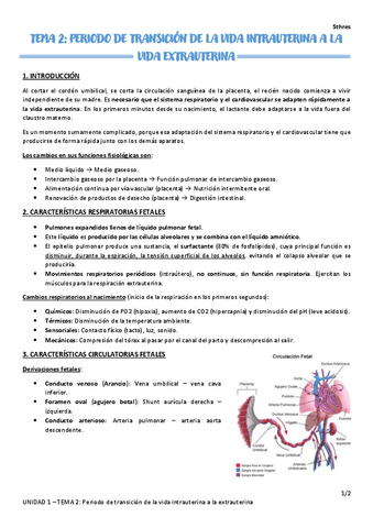 TEMA-2.pdf