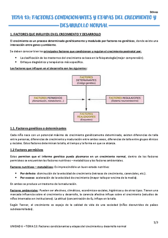 TEMA-13.pdf