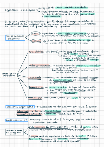 Tema-4-La-organizacion-220119181926.pdf