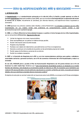 TEMA-19.pdf
