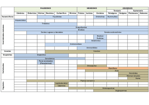 FOSILES-Y-SUS-PERIODOS.pdf