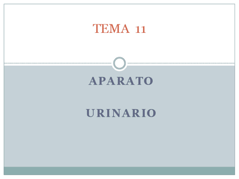 TEMA-11.-APARATO-URINARIO.pdf