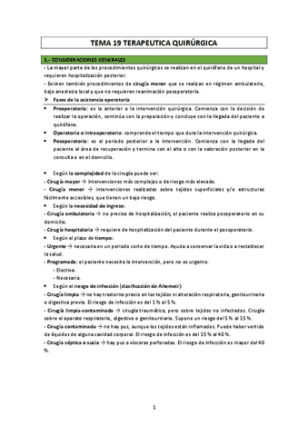 tema-19.pdf