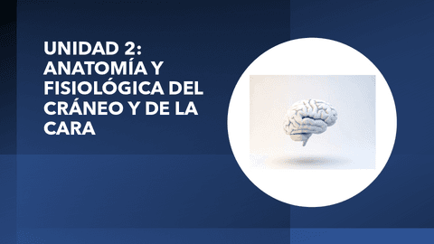 UNIDAD-2-ANATOMIA-DEL-CRANEO-Y-LA-CARA-ALUMNOS.pdf