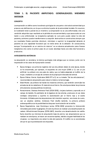 FISIO-VASC-IRENE-TORRES.pdf